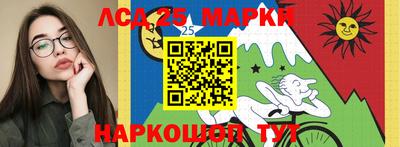 гашик Будённовск