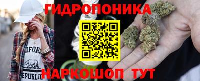 гашик Будённовск