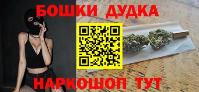 гашик Будённовск