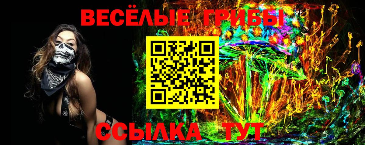 Псилоцибиновые грибы MAGIC MUSHROOMS Сокол