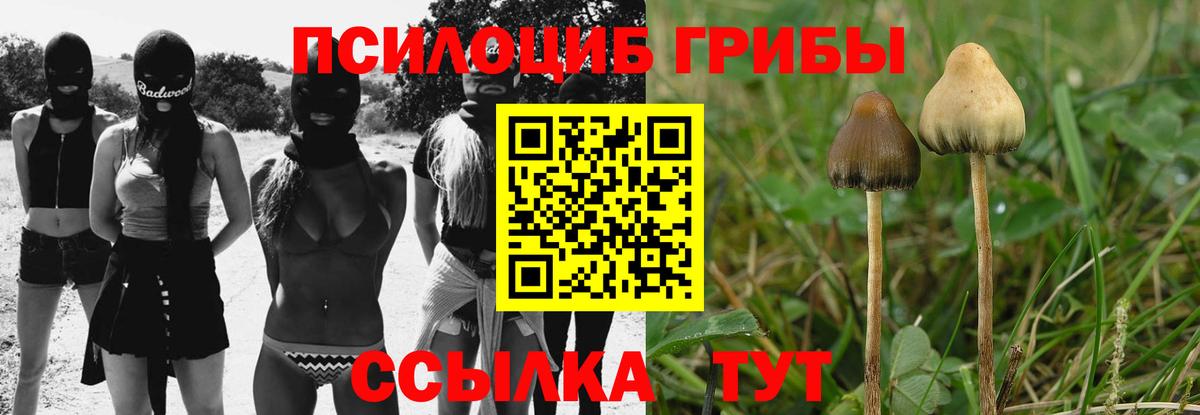 Псилоцибиновые грибы Psilocybine cubensis  Вход с VPN  Сокол 