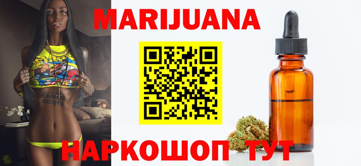 Конопля сатива Сокол